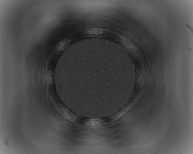 X0000093370758200710111436