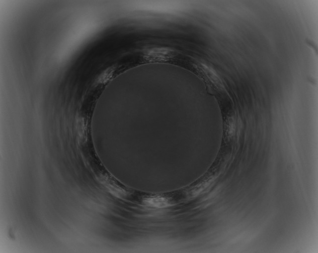 X0000093370759200710111436