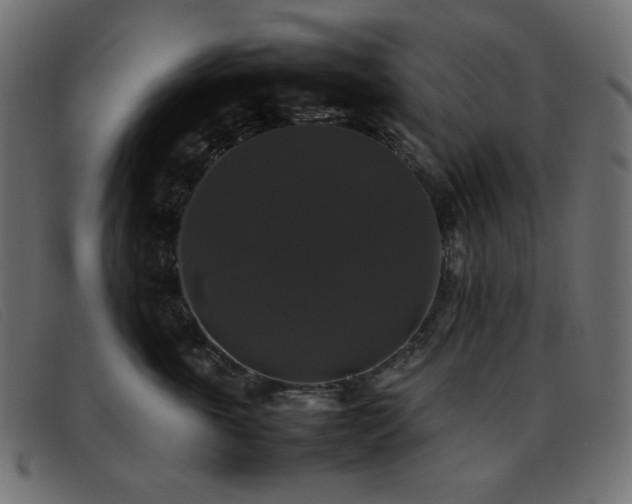X0000093370763200710111436