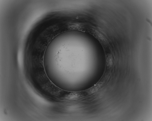 X0000093370764200710111436