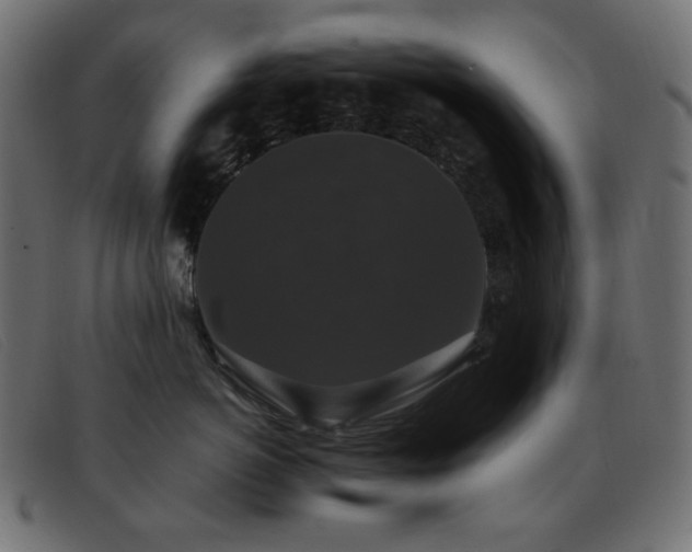 X0000093370766200710111436