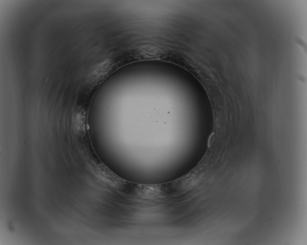 X0000093370768200710111436