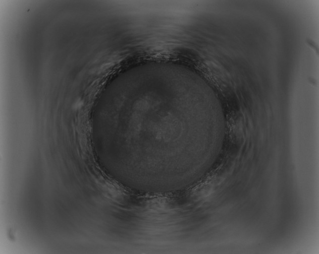 X0000093370769200710111436