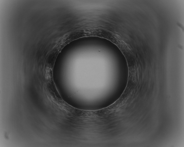 X0000093370770200710111436