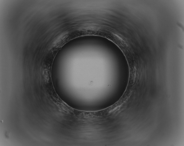 X0000093370774200710111436
