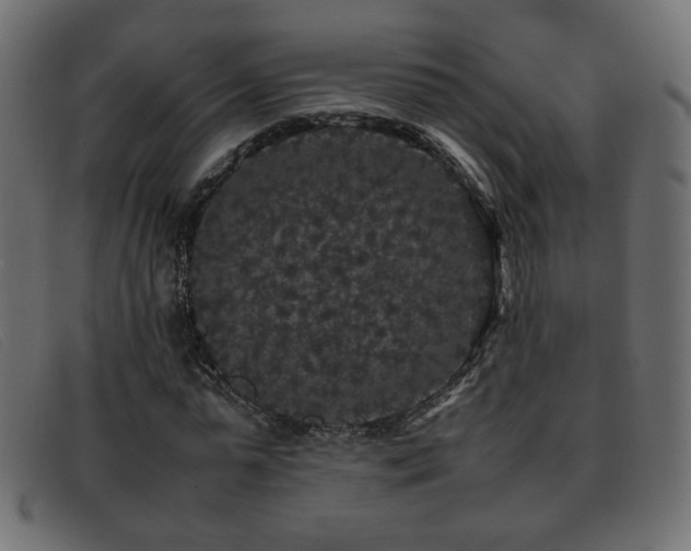 X0000093370775200710111436