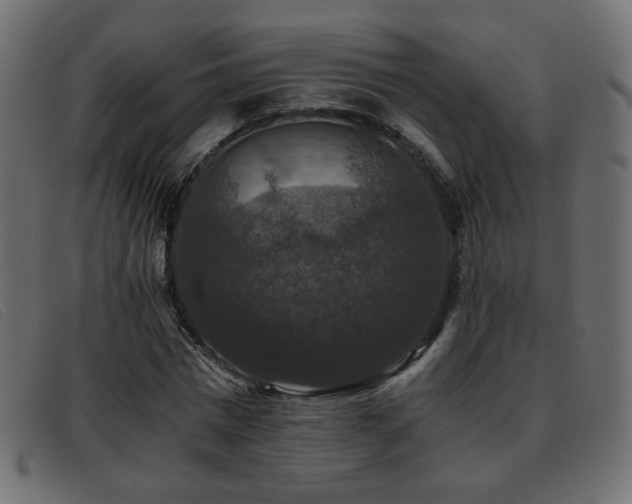 X0000093370777200710111436