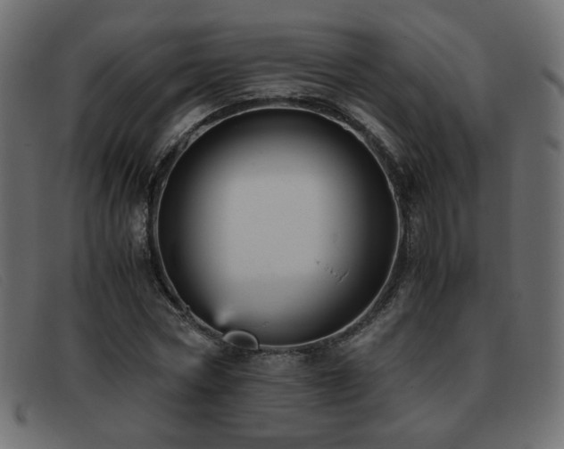 X0000093370778200710111436