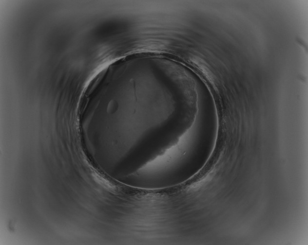 X0000093370779200710111436