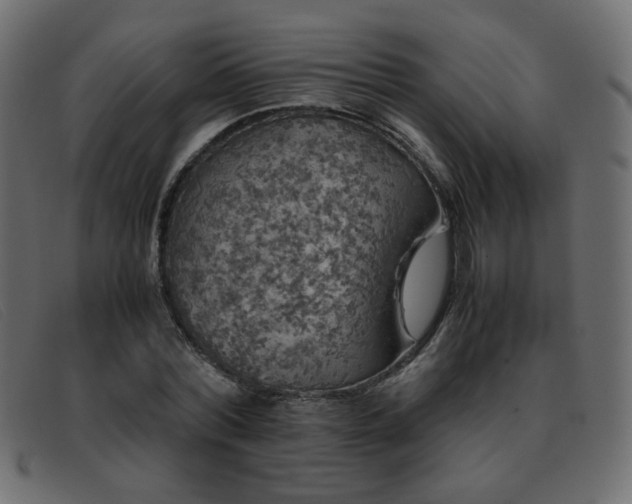 X0000093370780200710111436