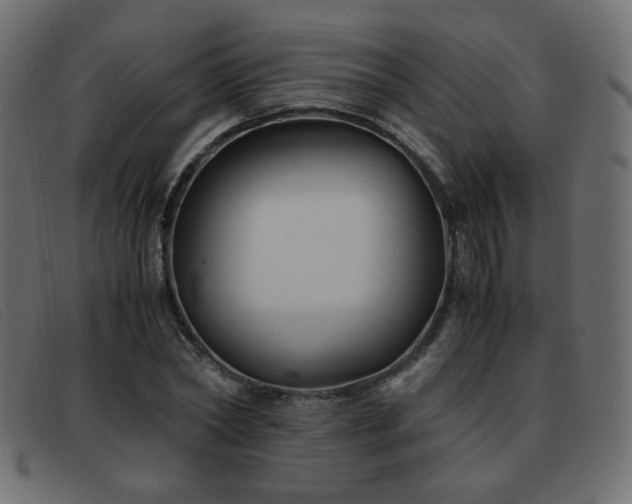 X0000093370782200710111436