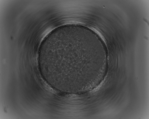 X0000093370783200710111436