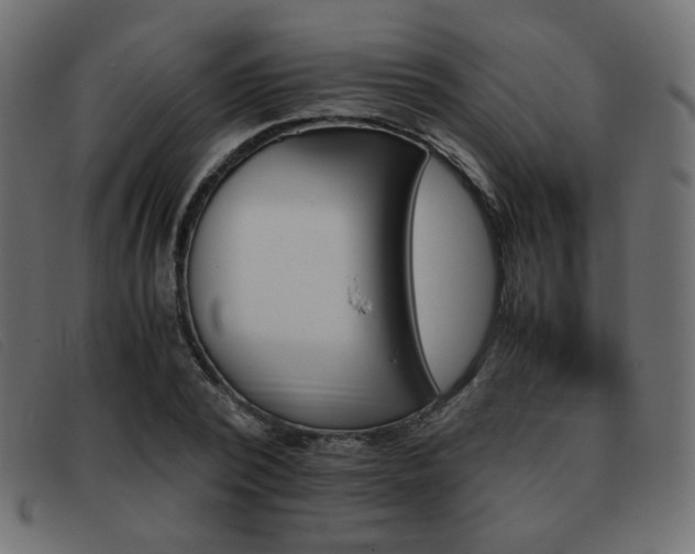 X0000093370784200710111436
