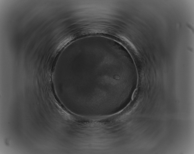X0000093370785200710111436