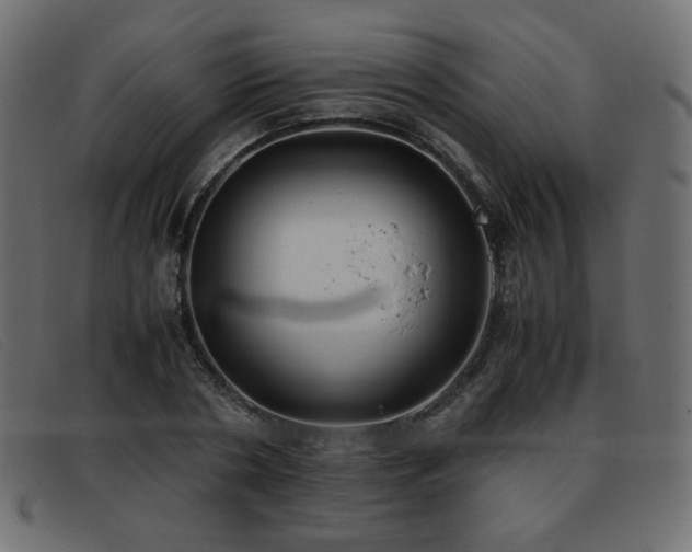 X0000093370786200710111436