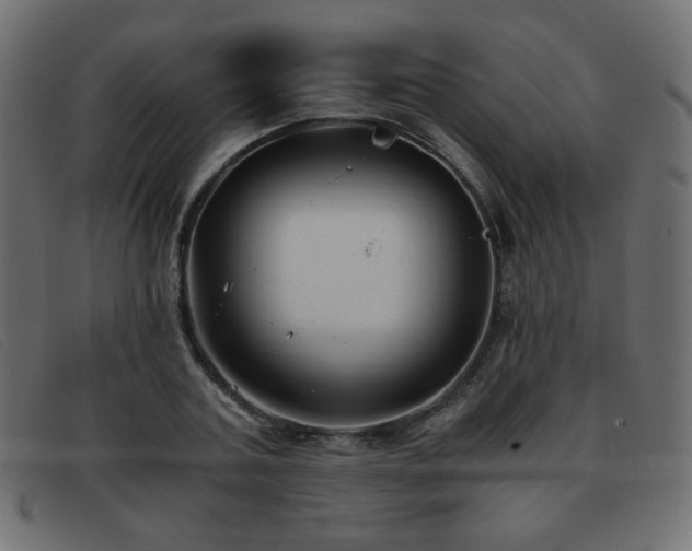 X0000093370787200710111435