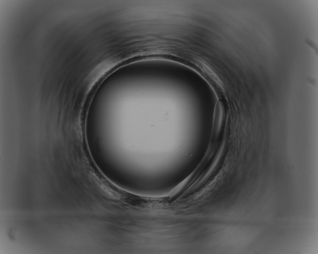 X0000093370789200710111435