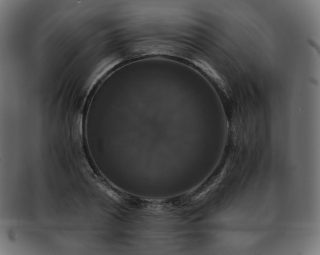 X0000093370790200710111435