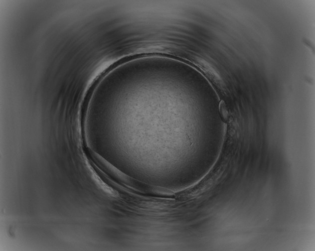 X0000093370792200710111435