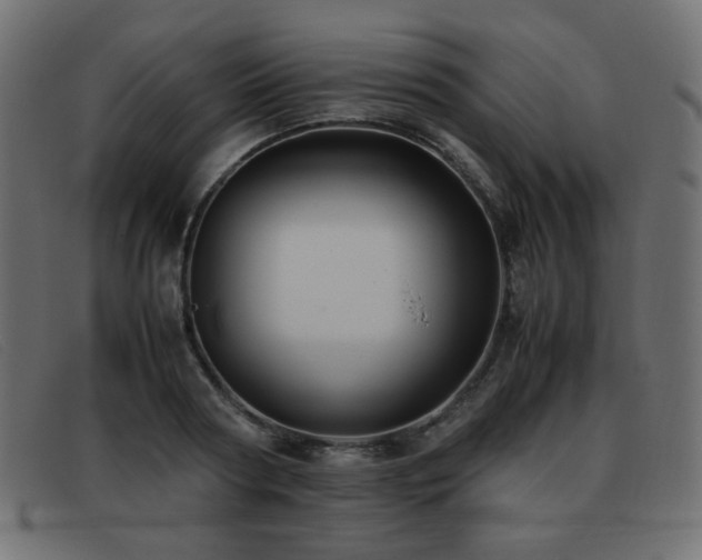 X0000093370794200710111435