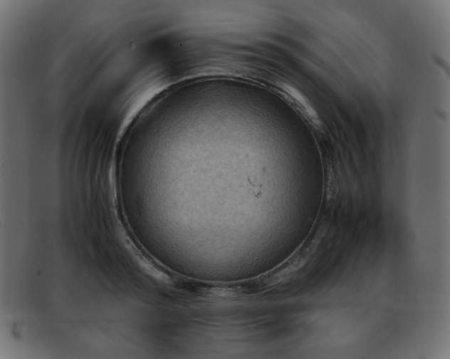 X0000093370796200710111435