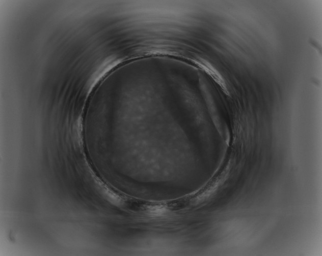 X0000093370798200710111435