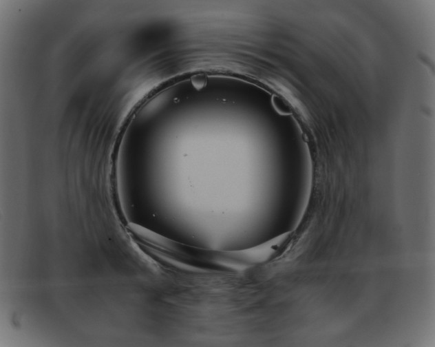 X0000093370799200710111435