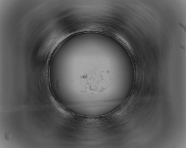 X0000093370800200710111435