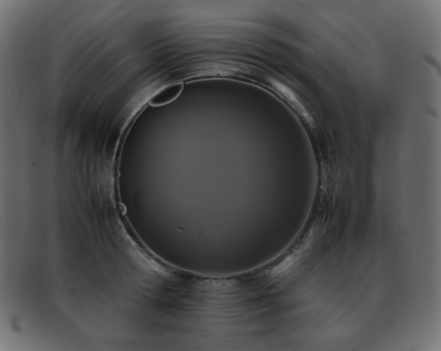 X0000093370802200710111435