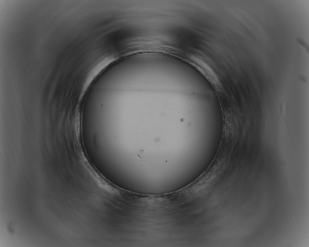 X0000093370804200710111435