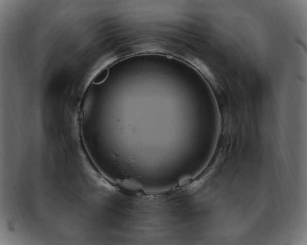 X0000093370806200710111435