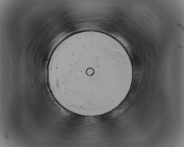 X0000093370807200710111435