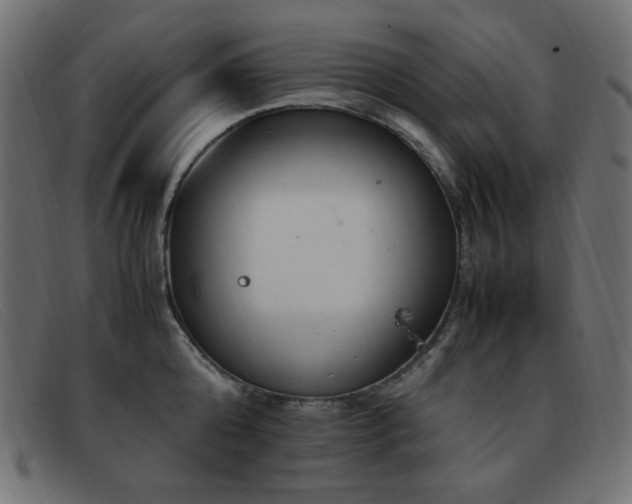 X0000093370808200710111435