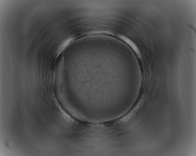 X0000093370809200710111435