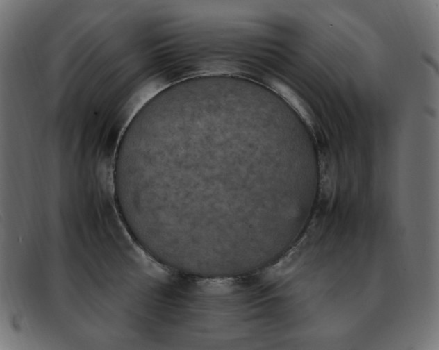 X0000093370810200710111435