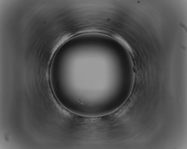 X0000093370813200710111435