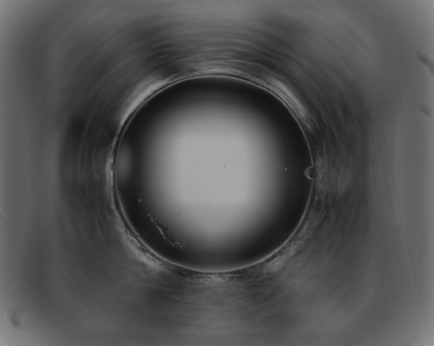 X0000093370814200710111435