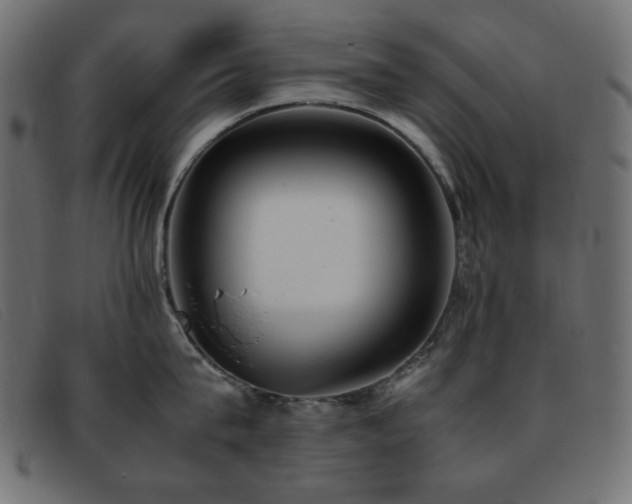X0000093370815200710111435