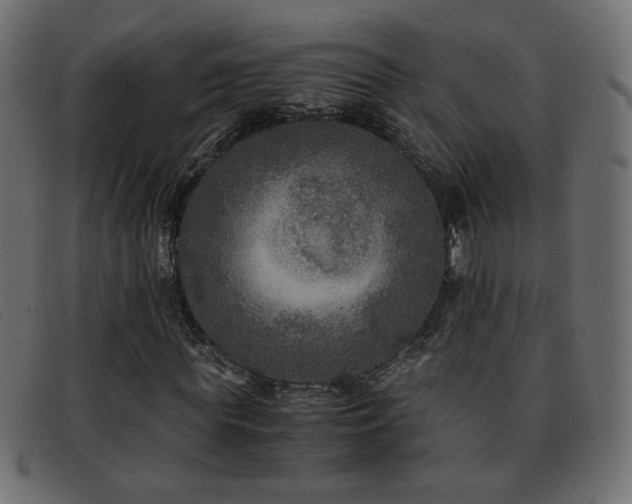 X0000093370819200710111435