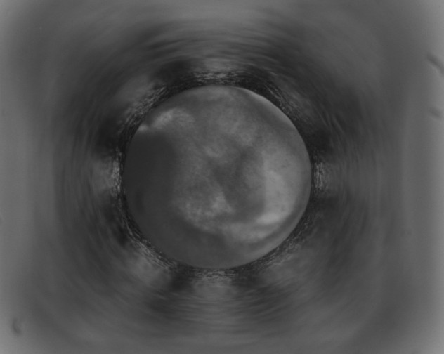 X0000093370820200710111435