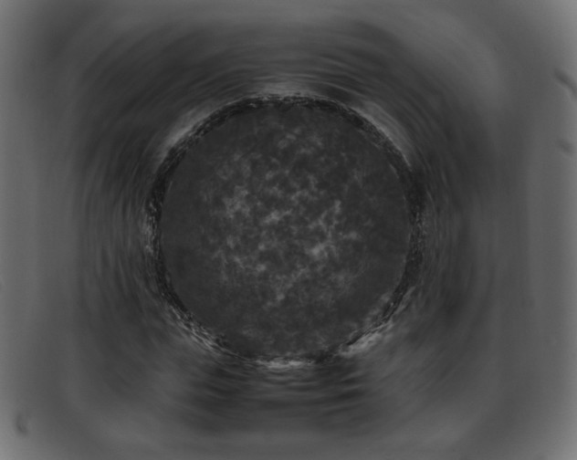 X0000093370823200710111435