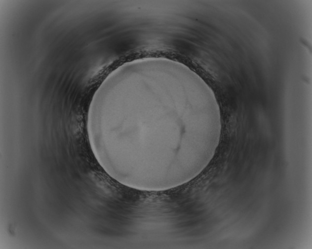 X0000093370824200710111435