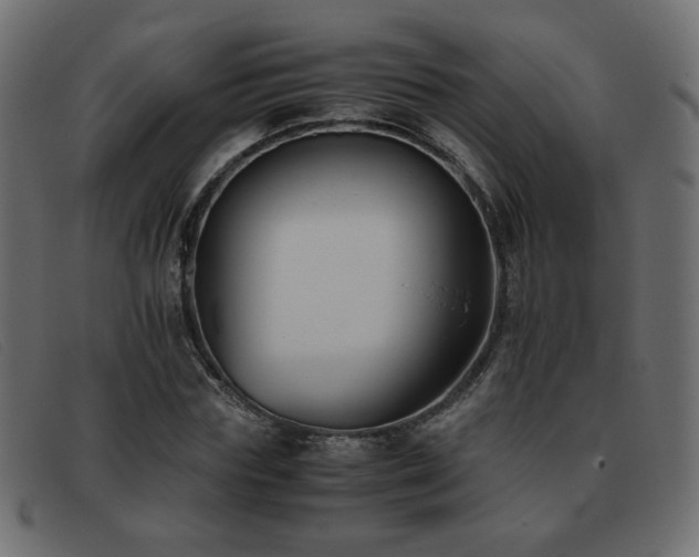 X0000093370827200710111435
