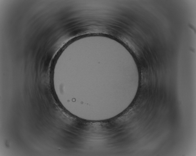 X0000093370828200710111435