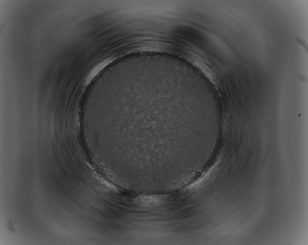 X0000093370829200710111435