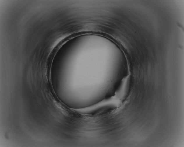 X0000093370830200710111435