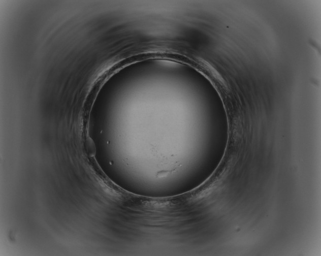 X0000093370831200710111435
