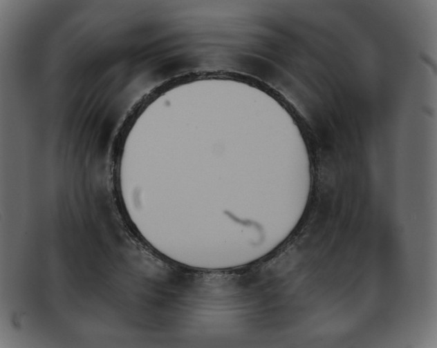 X0000093370832200710111435