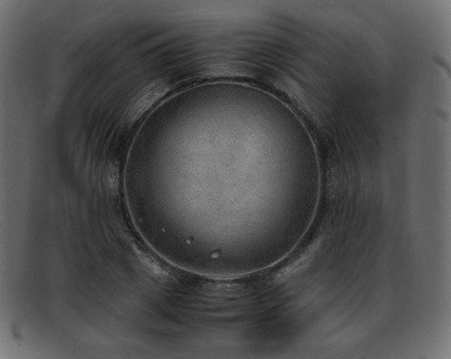 X0000093370833200710111435
