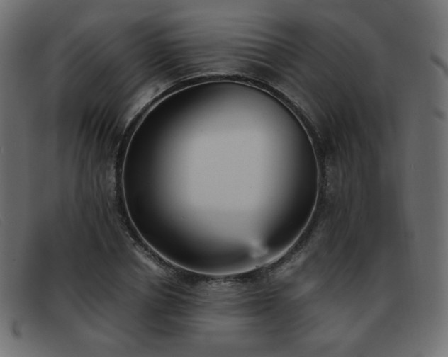 X0000093370834200710111435